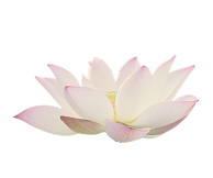 Decorative flower