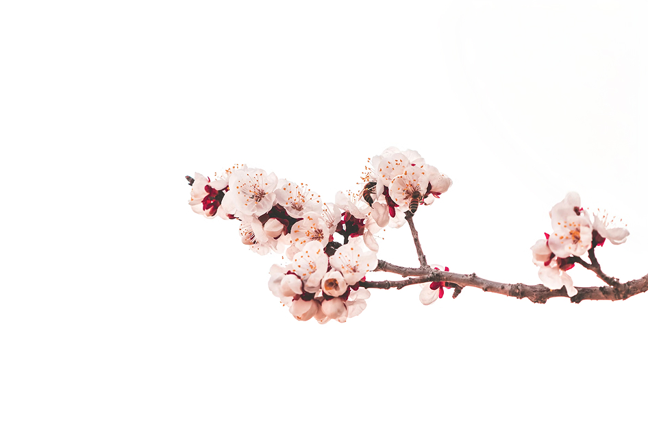 Decorative flower