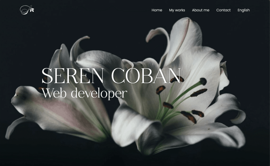 first version of the portfolio